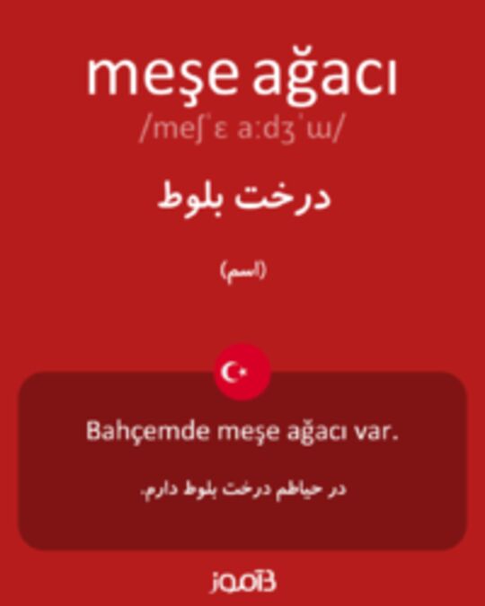  تصویر meşe ağacı - دیکشنری انگلیسی بیاموز