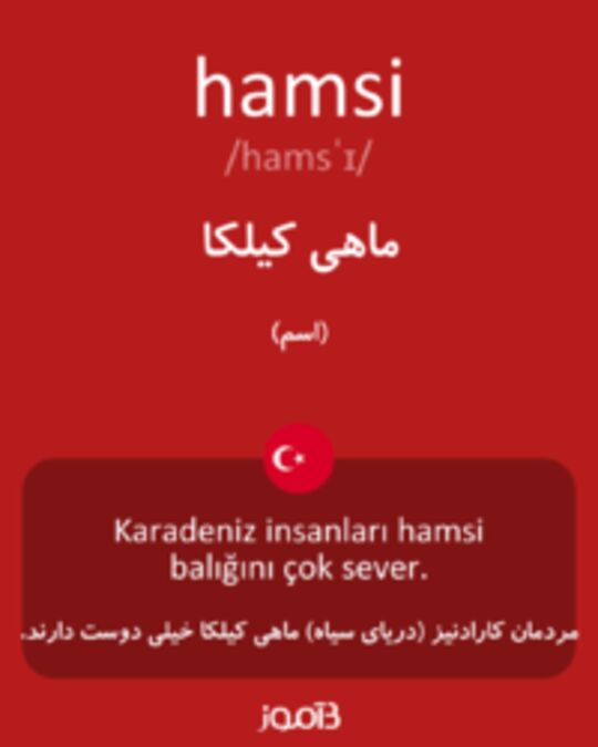  تصویر hamsi - دیکشنری انگلیسی بیاموز