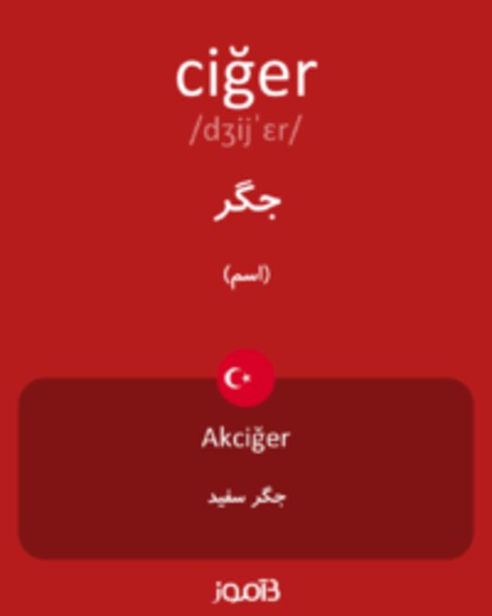  تصویر ciğer - دیکشنری انگلیسی بیاموز